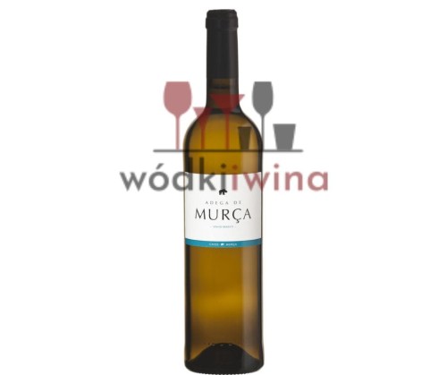 Projekt bez tytułu.jpg