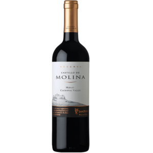 Wino Molina Merlot