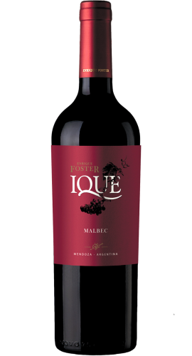 pol_pl_Enrique-Foster-Ique-Malbec-830_1.png