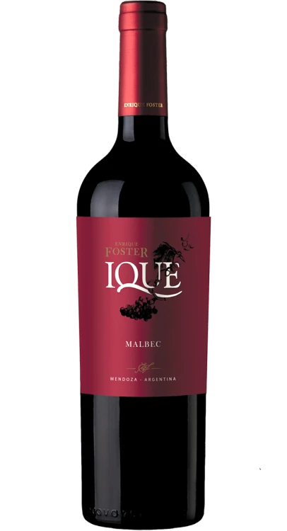 pol_pl_Enrique-Foster-Ique-Malbec-830_1.png