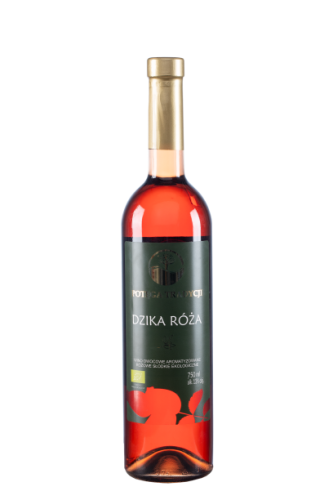Dzika róża.png
